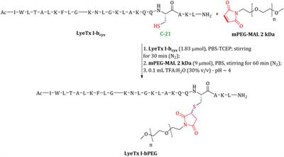 PEGylation of the antimicrobial peptide LyeTx I-b maintains structure-related biological properties and improves selectivity